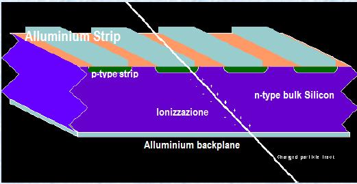 applicato un campo elettrico La particella carica ionizza il Silicio Le buche si muovono verso le strip p-type e gli elettroni verso lo spessore di alluminio Si crea quindi una corrente