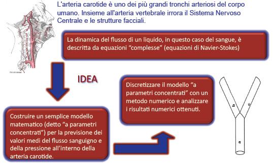 Matematica&Salute 4