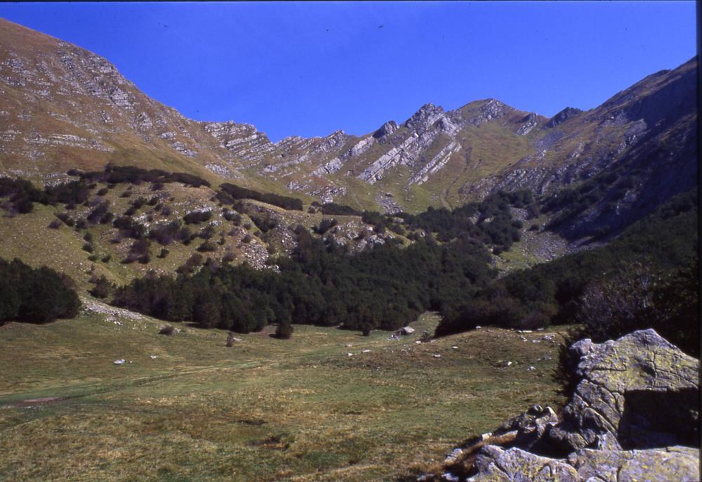 Ampio circo glaciale modellato tra il Monte Alto, il Passo di Pietra Tagliata, L'Alpe di Succiso e il Monte Casarola, fortemente rimodellato da processi di erosione successivi a