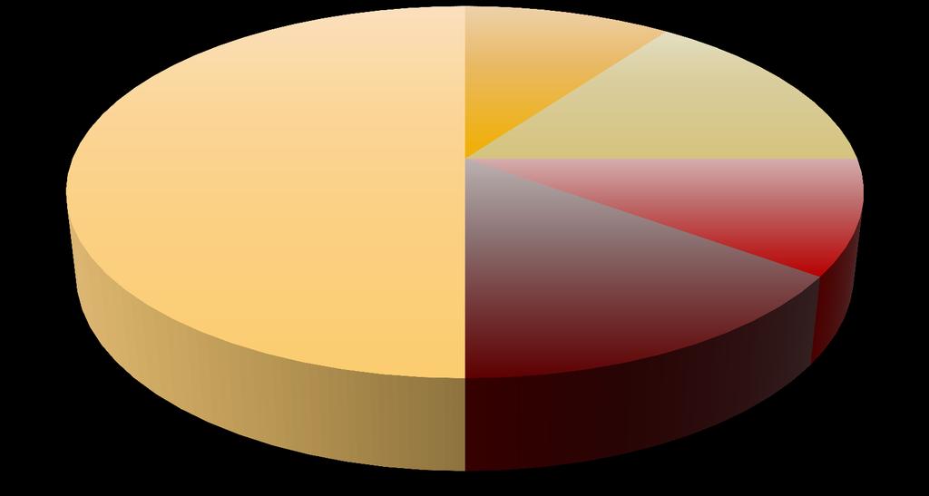 5. Remediation Priorities (2) Risk reduction measures for soil, sediment and sludge [%] Other soil Treatment (excavation and off site disposal) 50% In Situ Biological Treatment 10% In Situ