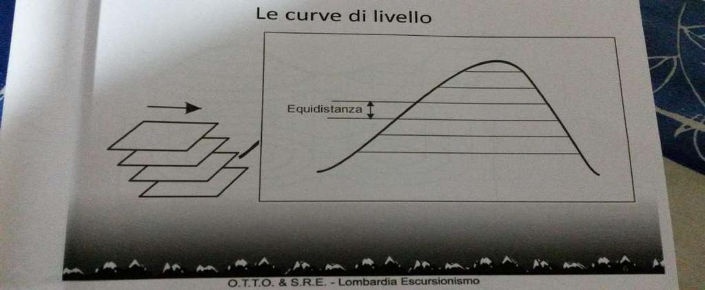Lettura delle Carte Escursionistiche LE CURVE DI LIVELLO La differenza di quota fra una curva di livello e la successiva dicesi EQUIDISTANZA.