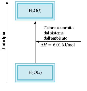 Equazioni termochimiche ΔH è negativo or positivo? Il sistema assorbe calore Endotermico ΔH > 0 6.