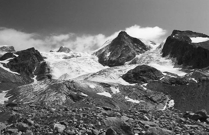 I COLEOTTERI CARABIDI DELLA VAL D AYAS 49 Fig.