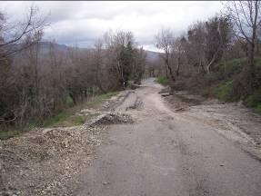 Il movimento franoso presente nei pressi della località di Cavedale (Fig.