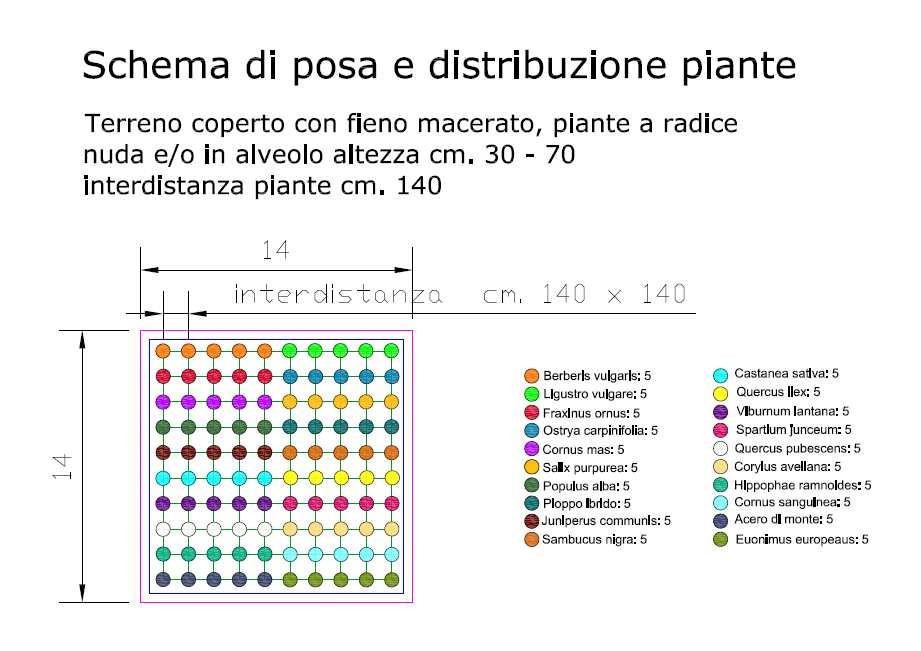 Visto i risultati ottenuti tramite la semina a spaglio di alcuni semi di piante forestali, per cercare di migliorare l efficacaia del metodo previsto il modulo considera altresì la semina di semi di