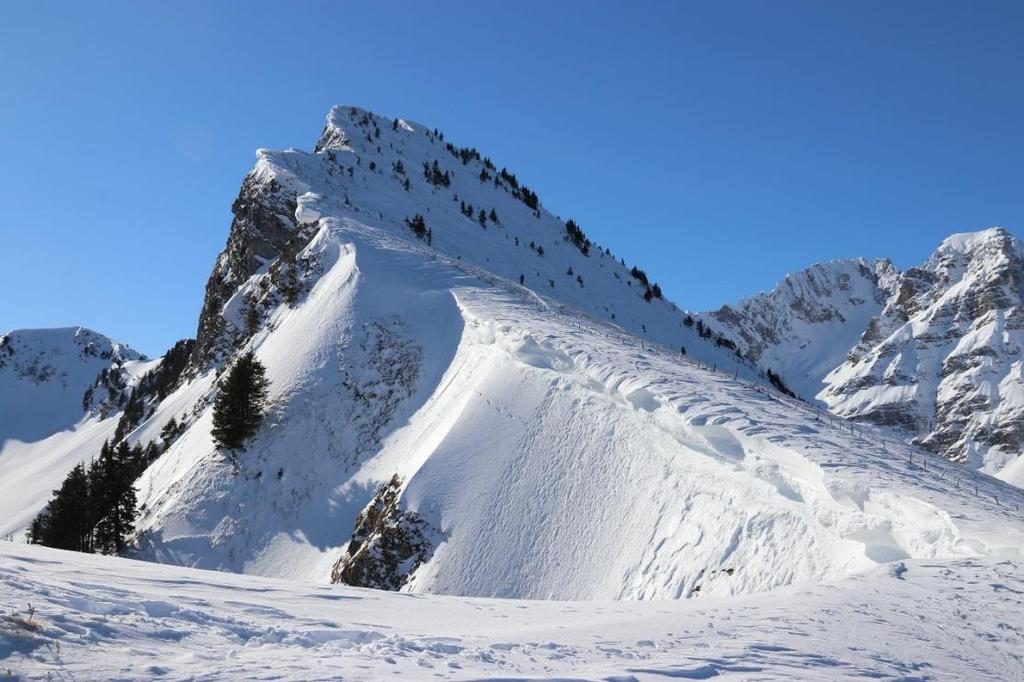 Bollettino del clima Febbaio 2019 _ A sud delle Alpi e in alta montagna a nord delle Alpi il mese è stato tra il secondo e il quinto mese di febbraio più mite dall inizio delle misurazioni.