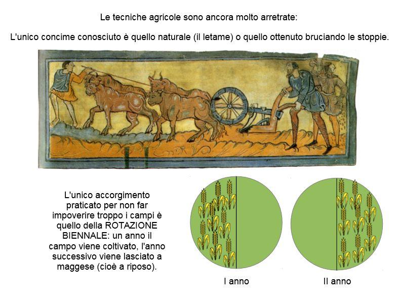 LE TECNICHE AGRICOLE ERANO DAVVERO ARRETRATE AI MIEI TEMPI: NIENTE