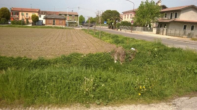 Fossati All'interno dell'area di cantiere è presente un tratto di fossato di modeste dimensioni.