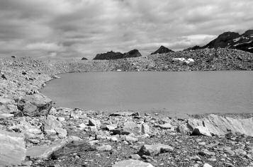 Contributo alla conoscenza di Oreonebria del Piemonte e della Valle d Aosta del Massiccio dell Argentera, nelle pietre verdi del Monviso (fig. 8), e in gneiss occhiadini del Gran Paradiso.