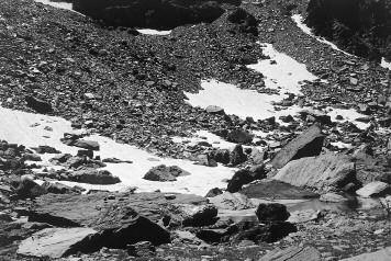 Contributo alla conoscenza di Oreonebria del Piemonte e della Valle d Aosta 3500 m (al Colle del Gigante nel Massiccio del Monte Bianco: Focarile, 1987).