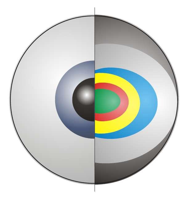 I tre tipi di coni sono diversamente collocati sulla retina, per cui le aree di