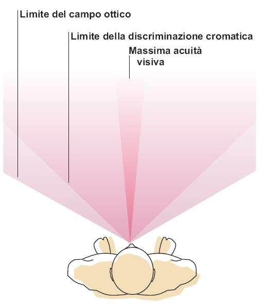 Il verde si estende per circa 60, il rosso per ca. 65, il giallo per 75.