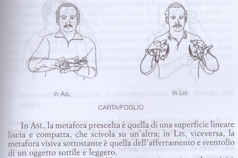 Mentre nelle lingue vocali il legame fonema-significato è del tutto arbitrario, sembrerebbe che nelle lingue dei segni il rapporto configurazione-significato non lo sia.