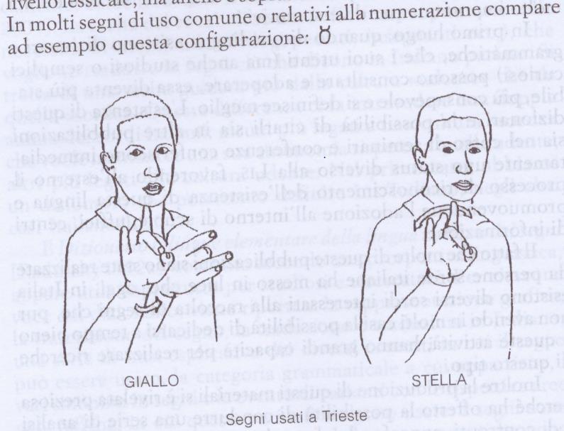 LIS ancora priva di riconoscimento ufficiale; basso livello di standardizzazione, soprattutto nel lessico, notevole variabilità la LIS parlata a Trieste possiede