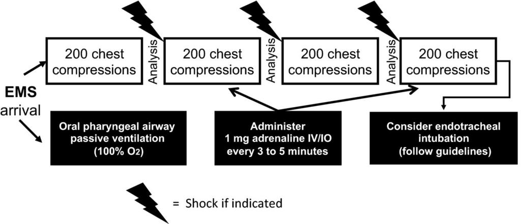 Solo Compressioni Toraciche University of Arizona College of Medicine Resuscitation Research Group 200 compressioni toraciche,