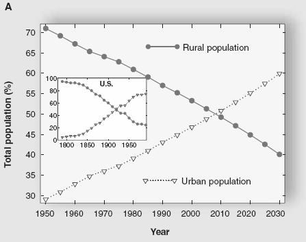 L urbanizzazione crescente Grimm N.B. et al. (2008) Global Change and the Ecology of Cities.