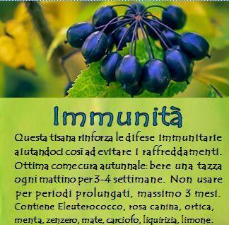 00 Immunità Contiene: farfara, altea, malva, piantaggine, verbasco, liquirizia, papavero.