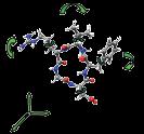 Ligand Docking Posa o Binding Mode: posizione, orientamento e conformazione di un ligando sulla