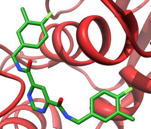 Sperimentale