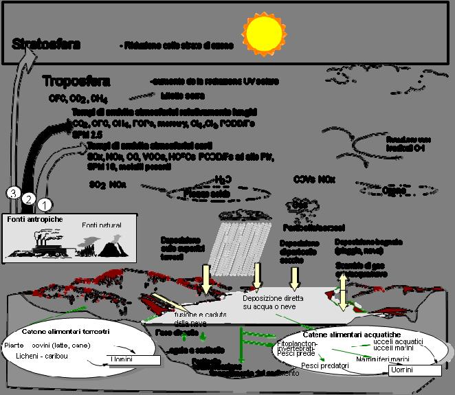 Introduzione ad alcuni concetti utili per descrivere i processi di ripartizione dei prodotti chimici organici nell ambiente TERMODINAMICA Definisce l affinità di un composto per i comparti ambientali