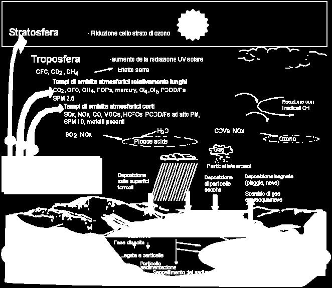 Implica la quantità di energia necessaria per spostare un prodotto chimici in un comparto differente Può predire la direzione di un trasferimento di fare Ad esempio: un composto si absorbe nell acqua