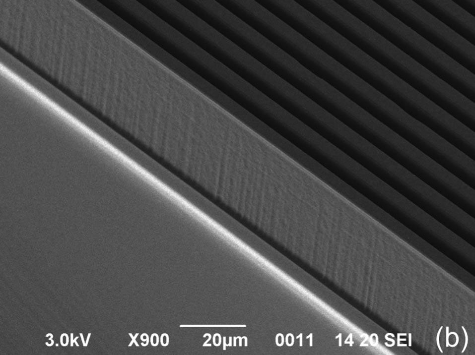 soluble to the fibrillar state have been discovered [2 5]. In this framework, new technologies aimed at the investigation of proteins, linked to surfaces in micro-volumes, are also emerging.