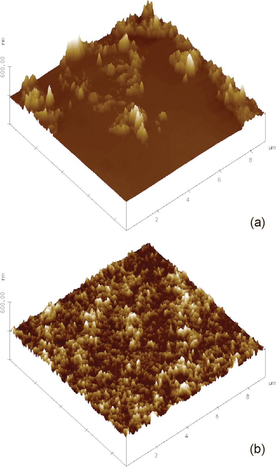 FULL ARTICLE J. Biophotonics 5, No. 10 (2012) 789 regularly and scarcely covered by fibrils.