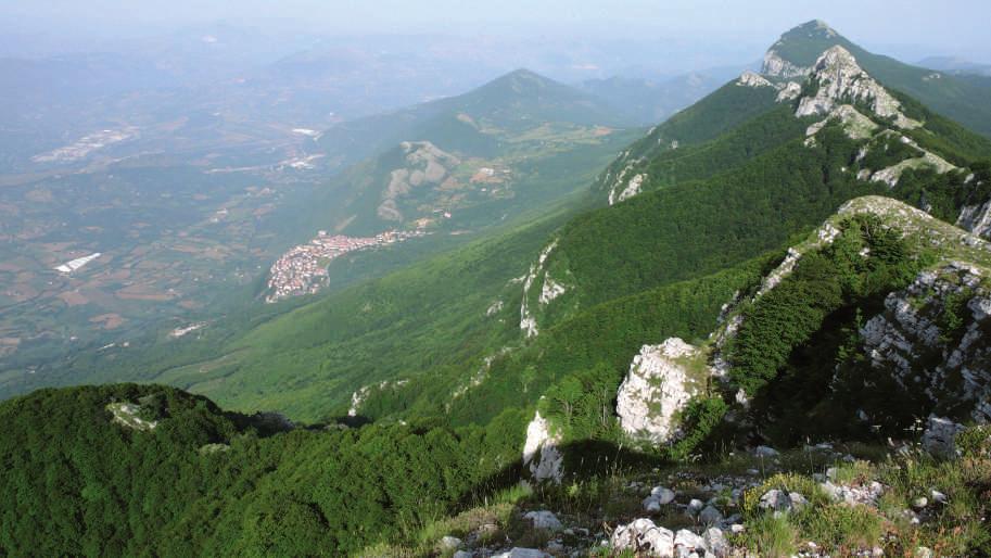 Le faggete dei Monti Alburni, una delle aree di progetto del Parco Nazionale del Cilento, Vallo di Diano e Alburni, viste dal Monte della Nuda.