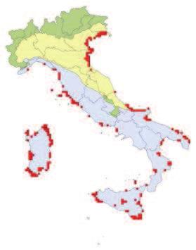 Habitat costieri e vegetazione alofitica 1410 Pascoli inondati mediterranei (Juncetalia maritimi) Mediterranean salt meadows (Juncetalia maritimi) PALAEARCTIC CLASSIFICATION (EUR28): 15.