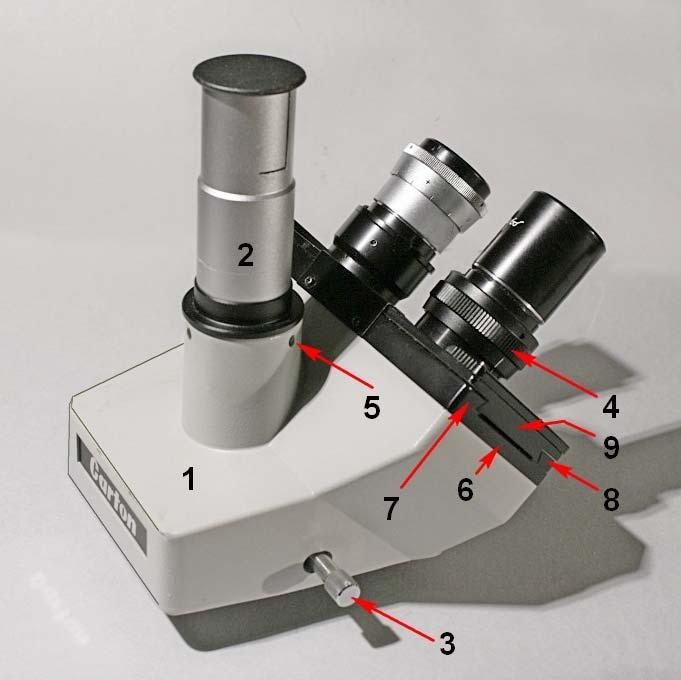 Scheda tecnica n 143 Tubo trioculare CARTON (Japan) Bisogna riconoscere che, almeno in molti casi, i costruttori d ottica dei paesi orientali hanno imparato a copiare, nel senso che riescono a