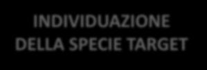 livello transazionale adriatico di specie targets contenente indicazioni operative circa i