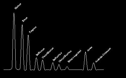 Misura della Qualità (determinazione della composizione) I gascromatografi da processo attualmente installati sulla rete non sono in grado di misurare l idrogeno che eventualmente verrebbe iniettato