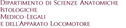 AMMINISTRAZIONE APPALTANTE Il Dipartimento di Scienze anatomiche, Istologiche, Medico legali e dell Apparato locomotore SAIMLAL Via Alfonso Borelli 50 00161 Roma Referente amministrativo: dott.