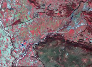 Immagini satellitari RapidEye studio delle colture