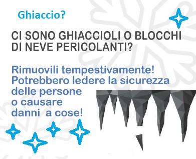 rimuovere la neve da tetti spioventi, cornicioni, balconi, alberi e siepi privati, in particolare quelli con rami che sporgono su strade e marciapiedi; se si è formato il ghiaccio, rompere i