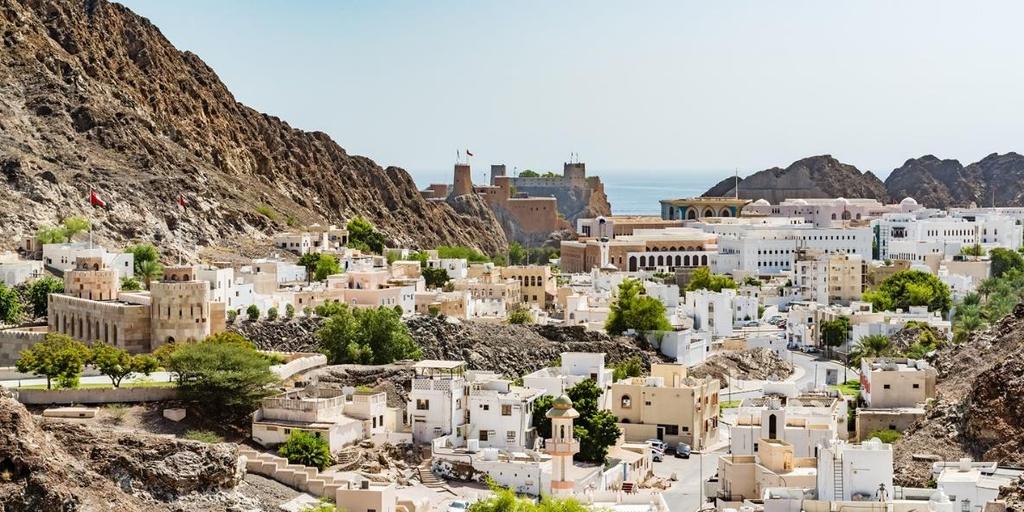 GIORNO 1 ITALIA / MUSCAT Partenza con volo di linea per Muscat, capitale dell Oman e città più grande del sultanato. Pasti e pernottamento a bordo.