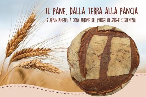 Dipartimento di Scienze delle Produzioni Agroalimentare e dell Ambiente