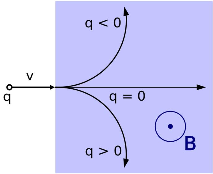 Il campo magnetico Il campo magnetico curva le particelle cariche: La