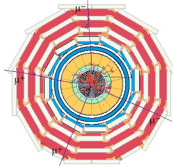 Higgs in 4 leptoni Evento simulato di produzione di Higgs Il protone è formato da quark e gluoni: 2 gluoni