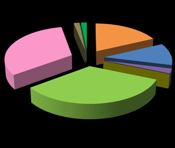 pubbliche, difesa del suolo ed edilizia residenziale pubblica, in quanto gli incarichi affidati dalle medesime hanno prettamente durata pluriennale.