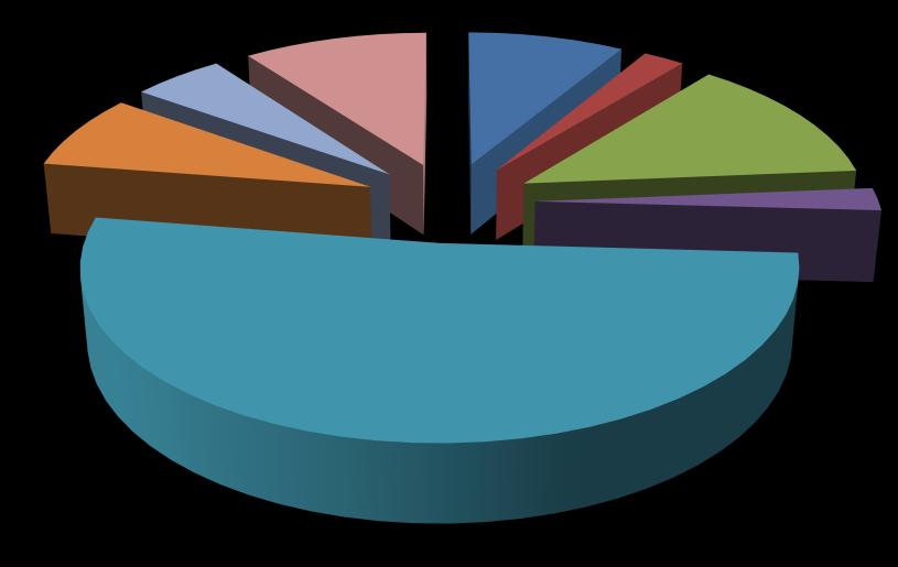 12/1996 Anno 2012 - Distribuzione percentuale per funzioni-obiettivo - Pagamenti 7,48% 5,01% 10,06% 8,54% 2,26%