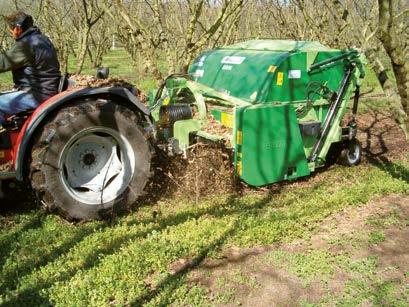 Valori medi indicativi del costo di raccolta delle potature 8 COLTURA t/ha/anno Contenuto idrico alla raccolta (M%) /t Oliveti 2,5-4,5 35-45% 25-60 Vigneti 1,5-3 40-50% 20-65 Corileti