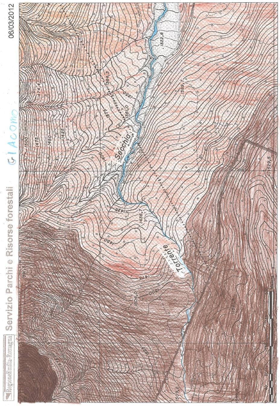 degli ambienti umidi. Incontriamo alberi, arbusti ed erbe.