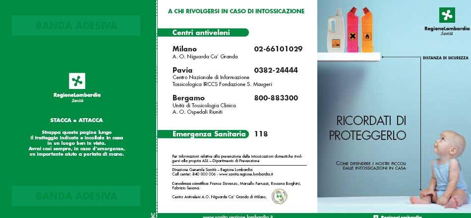 Il contesto epidemiologico Incidenti Domestici in Lombardia Nel 2008 si è effettuata la campagna