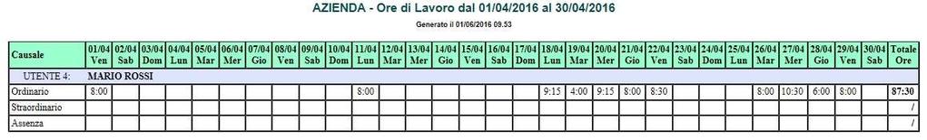 SOFTWARE PROFESSIONALE 3) ESEMPIO DI STAMPA DEL REPORT MENSILE SENZA MODULO