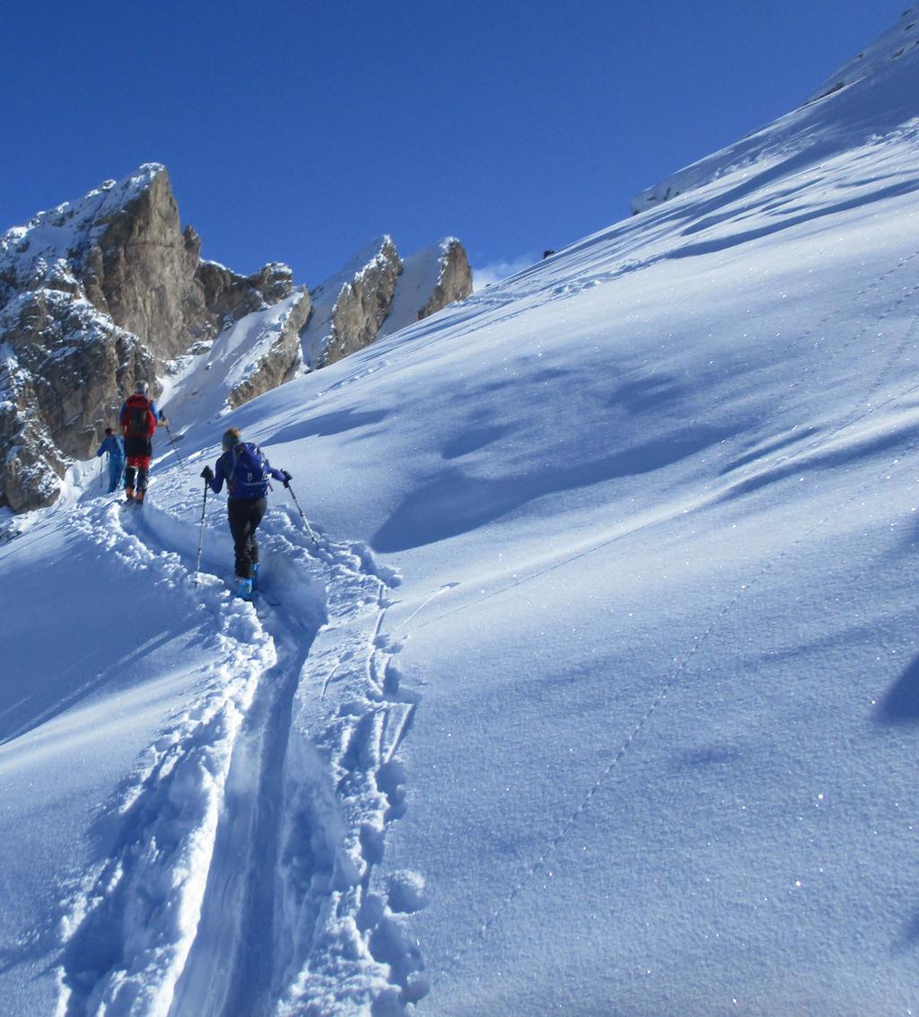 SA esimo CORSO DI SCIALPINISMO referenti Arianna Cita, direttore Paolo Varadi, vicedirettore Marco Knezevich, Andrea Chiavoni, segretari il corso La partecipazione al corso richiede una discreta