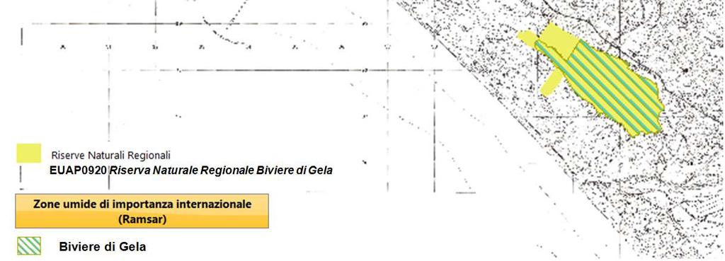 La più importante ricchezza naturalistica della Riserva è proprio rappresentata dall'avifauna che nel lago trova luogo di nidificazione, sosta e nutrimento e un clima mite dove poter trascorrere il