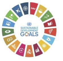 8 Le città al centro del dialogo internazionale Agenda 2030 for Sustainable Development (settembre 2015).