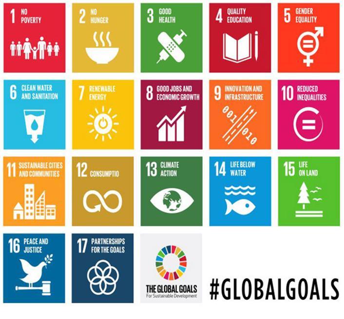 9 Sustainable Development Goals Nel settembre 2015, l Assemblea Generale delle Nazioni Unite ha adottato