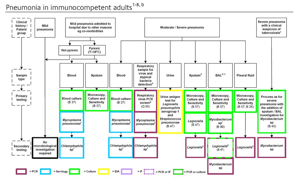 Multiplex PCR for